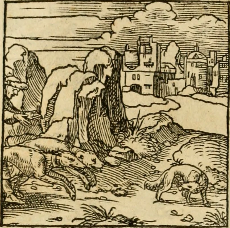 An illustration from Horou Apollonos neiloou Hieroglyphika = Ori Apollinis niliaci, De sacris notis & sculpturis libri duo, 1551, leaf 185