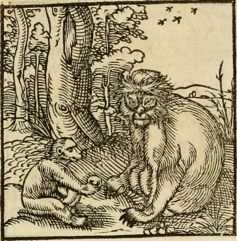 An illustration from Horou Apollonos neiloou Hieroglyphika = Ori Apollinis niliaci, De sacris notis & sculpturis libri duo, 1551, leaf 186