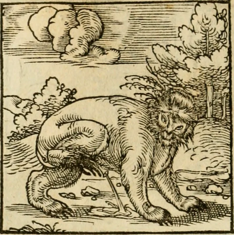 An illustration from Horou Apollonos neiloou Hieroglyphika = Ori Apollinis niliaci, De sacris notis & sculpturis libri duo, 1551, leaf 187