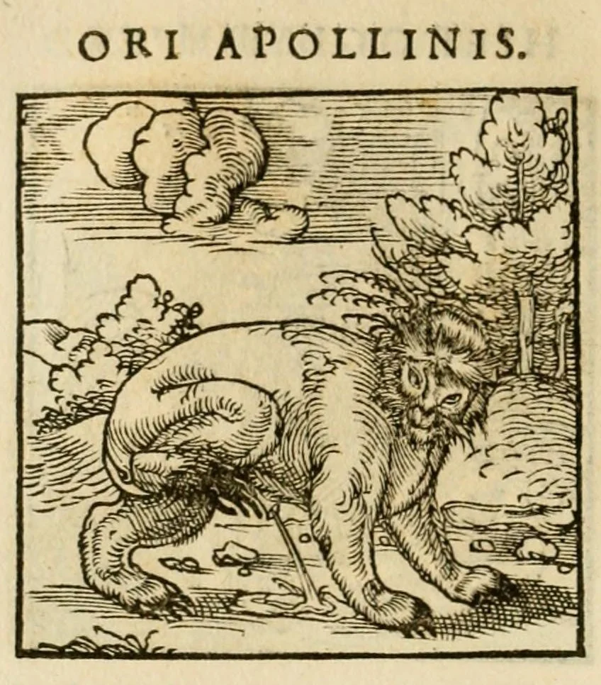An illustration from Horou Apollonos neiloou Hieroglyphika = Ori Apollinis niliaci, De sacris notis & sculpturis libri duo, 1551, leaf 188