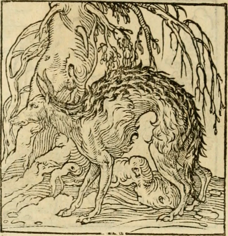 An illustration from Horou Apollonos neiloou Hieroglyphika = Ori Apollinis niliaci, De sacris notis & sculpturis libri duo, 1551, leaf 189