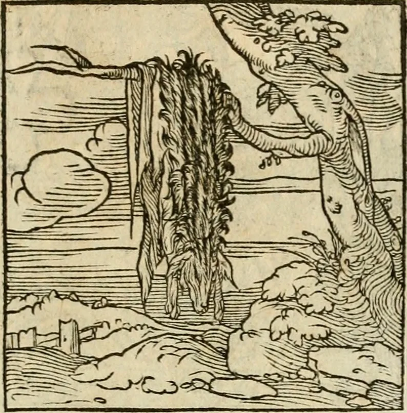 An illustration from Horou Apollonos neiloou Hieroglyphika = Ori Apollinis niliaci, De sacris notis & sculpturis libri duo, 1551, leaf 192