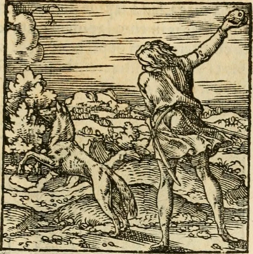 An illustration from Horou Apollonos neiloou Hieroglyphika = Ori Apollinis niliaci, De sacris notis & sculpturis libri duo, 1551, leaf 194