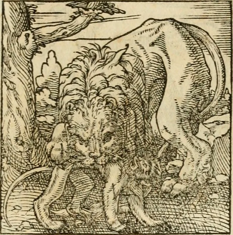 An illustration from Horou Apollonos neiloou Hieroglyphika = Ori Apollinis niliaci, De sacris notis & sculpturis libri duo, 1551, leaf 196