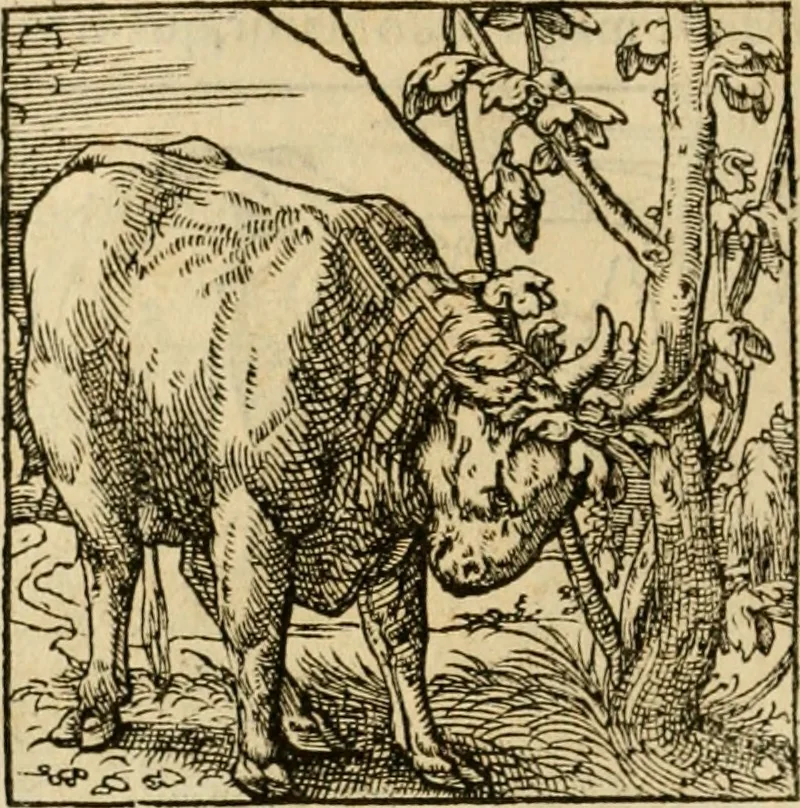 An illustration from Horou Apollonos neiloou Hieroglyphika = Ori Apollinis niliaci, De sacris notis & sculpturis libri duo, 1551, leaf 197