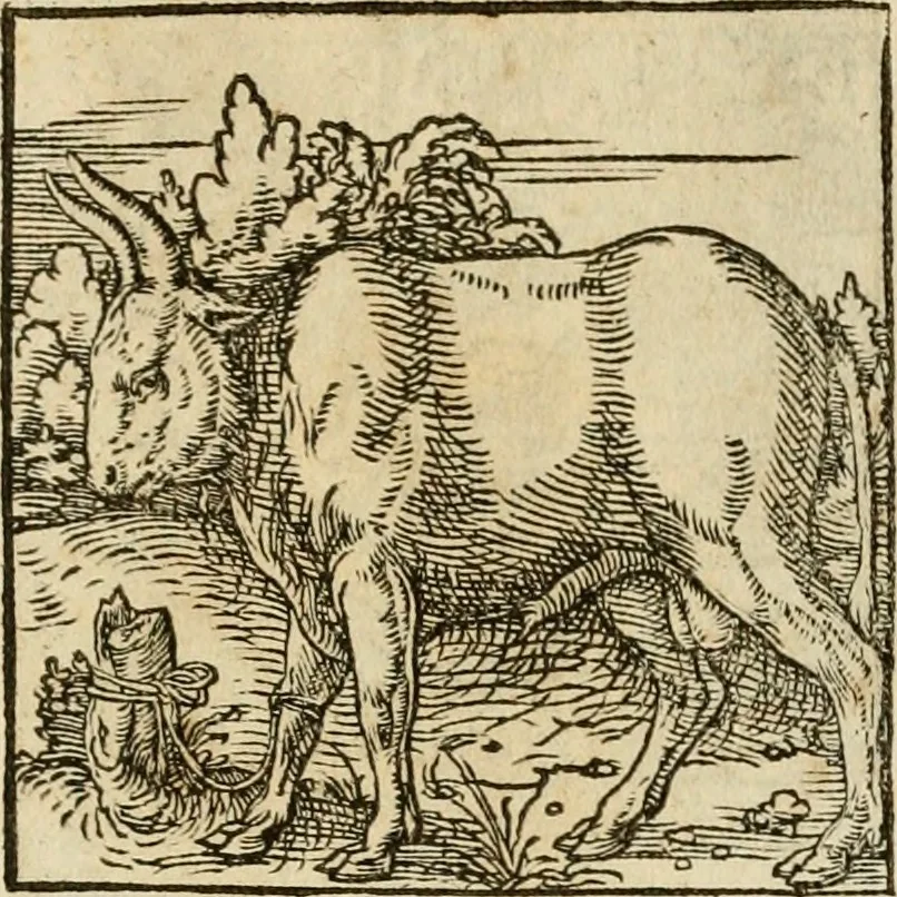 An illustration from Horou Apollonos neiloou Hieroglyphika = Ori Apollinis niliaci, De sacris notis & sculpturis libri duo, 1551, leaf 198