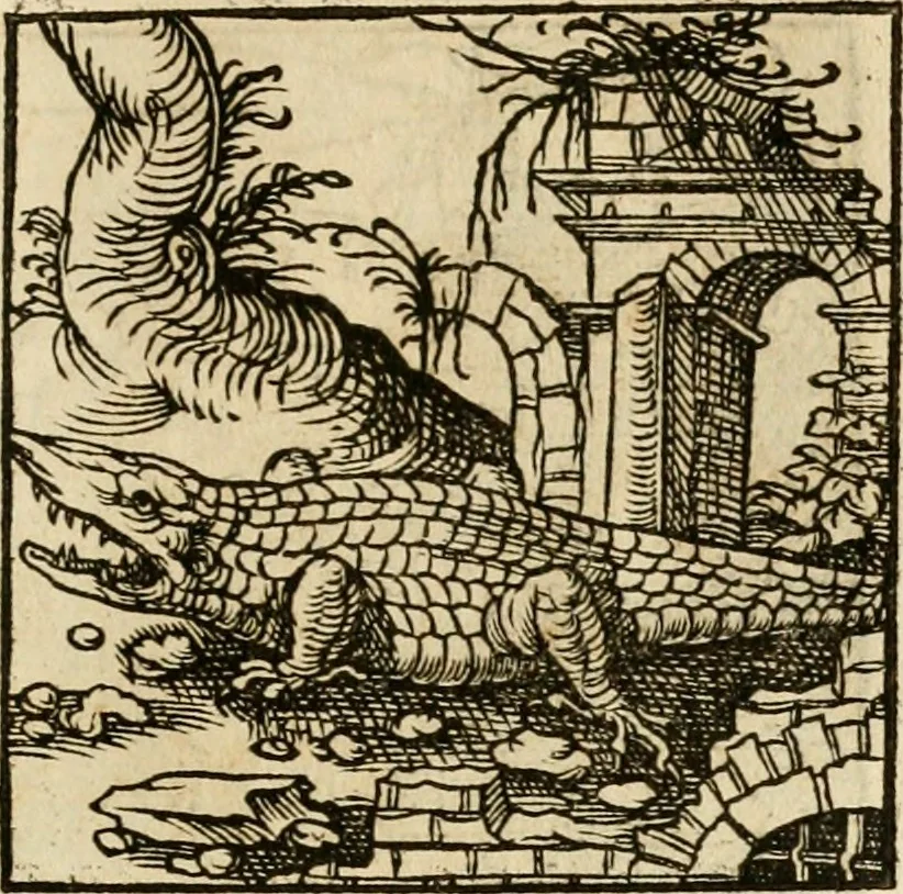 An illustration from Horou Apollonos neiloou Hieroglyphika = Ori Apollinis niliaci, De sacris notis & sculpturis libri duo, 1551, leaf 200