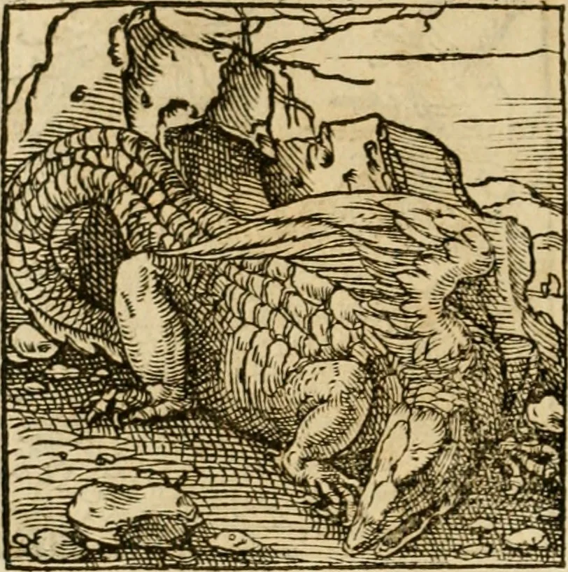 An illustration from Horou Apollonos neiloou Hieroglyphika = Ori Apollinis niliaci, De sacris notis & sculpturis libri duo, 1551, leaf 201
