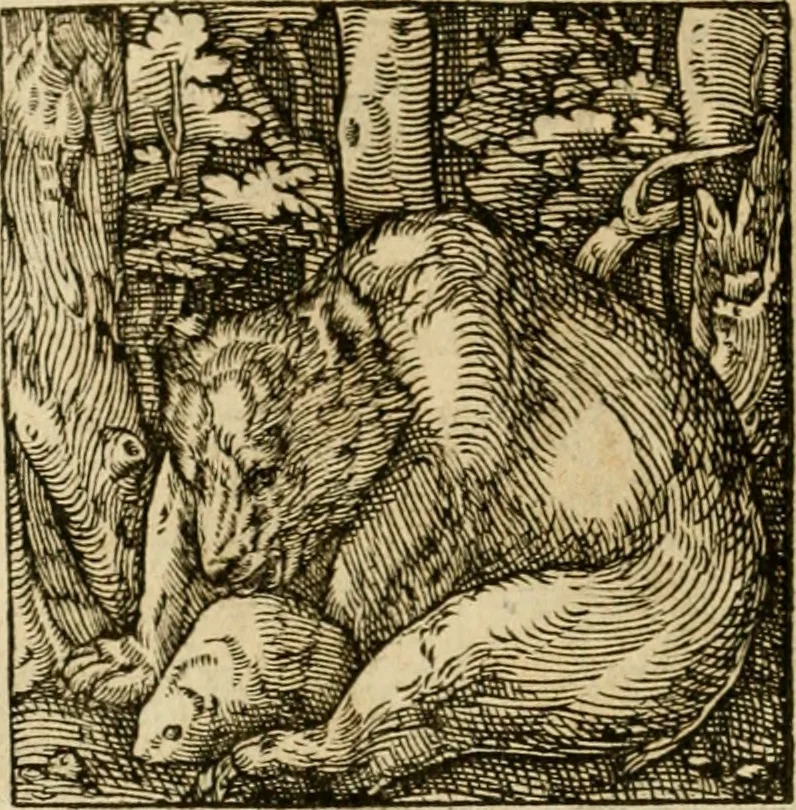 An illustration from Horou Apollonos neiloou Hieroglyphika = Ori Apollinis niliaci, De sacris notis & sculpturis libri duo, 1551, leaf 203