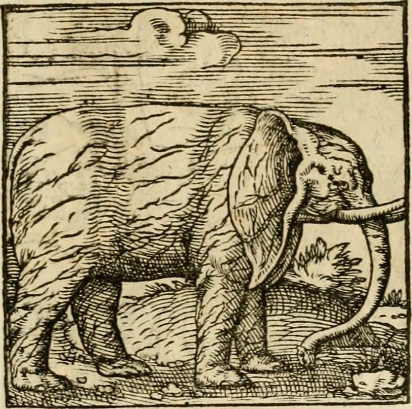 An illustration from Horou Apollonos neiloou Hieroglyphika = Ori Apollinis niliaci, De sacris notis & sculpturis libri duo, 1551, leaf 204