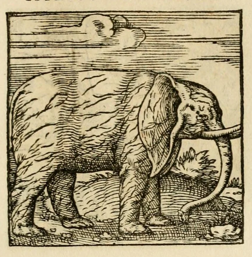 An illustration from Horou Apollonos neiloou Hieroglyphika = Ori Apollinis niliaci, De sacris notis & sculpturis libri duo, 1551, leaf 205