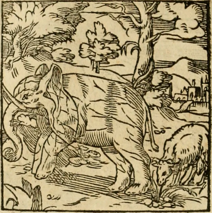 An illustration from Horou Apollonos neiloou Hieroglyphika = Ori Apollinis niliaci, De sacris notis & sculpturis libri duo, 1551, leaf 205