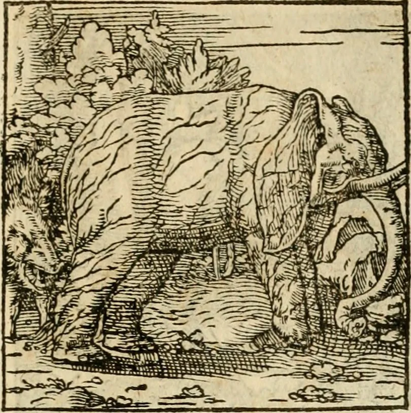 An illustration from Horou Apollonos neiloou Hieroglyphika = Ori Apollinis niliaci, De sacris notis & sculpturis libri duo, 1551, leaf 206