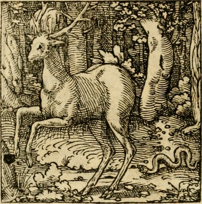 An illustration from Horou Apollonos neiloou Hieroglyphika = Ori Apollinis niliaci, De sacris notis & sculpturis libri duo, 1551, leaf 207