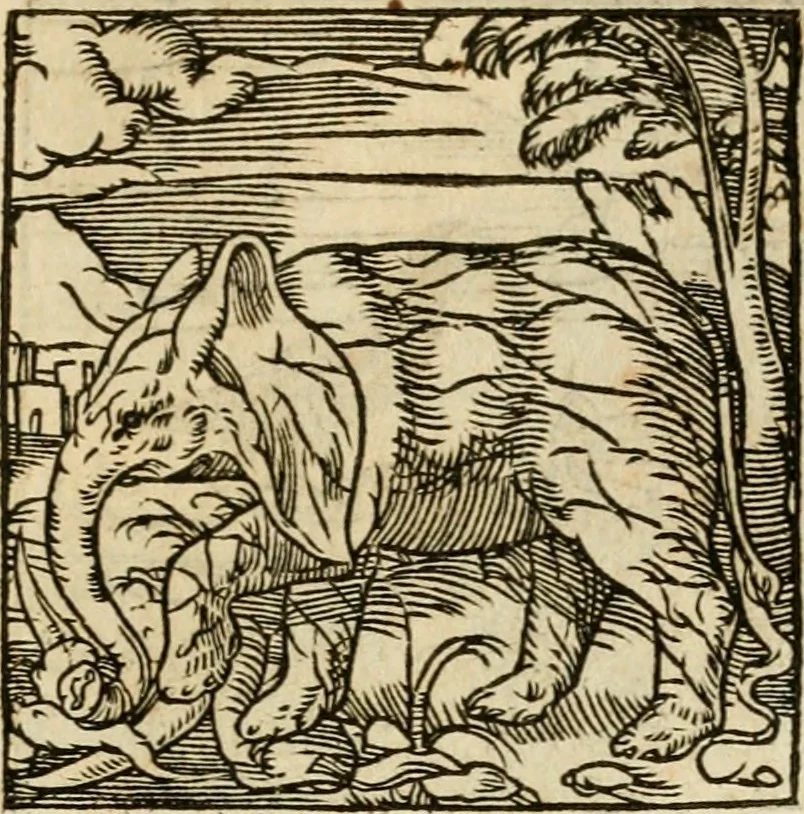 An illustration from Horou Apollonos neiloou Hieroglyphika = Ori Apollinis niliaci, De sacris notis & sculpturis libri duo, 1551, leaf 208