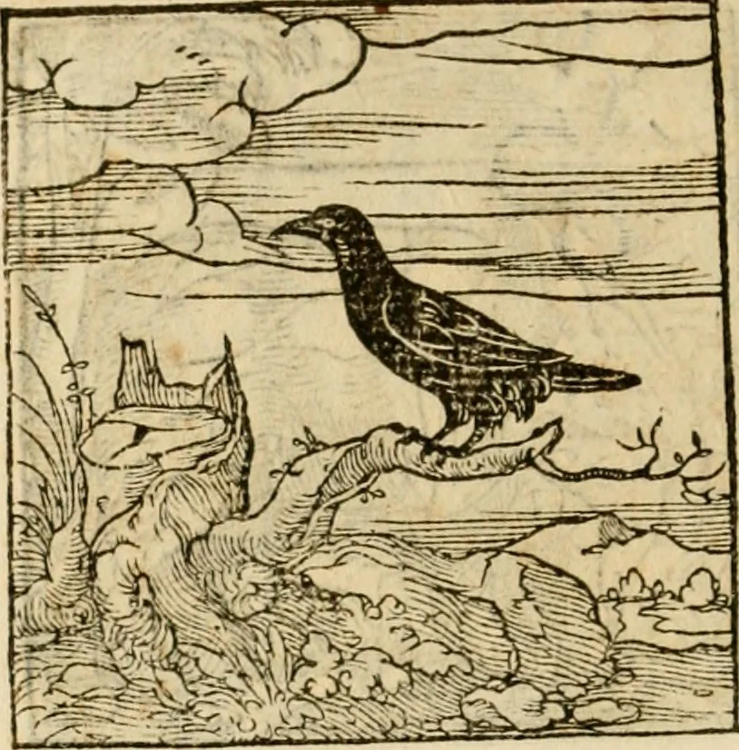 An illustration from Horou Apollonos neiloou Hieroglyphika = Ori Apollinis niliaci, De sacris notis & sculpturis libri duo, 1551, leaf 209