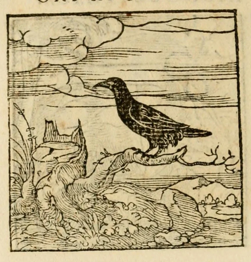 An illustration from Horou Apollonos neiloou Hieroglyphika = Ori Apollinis niliaci, De sacris notis & sculpturis libri duo, 1551, leaf 210