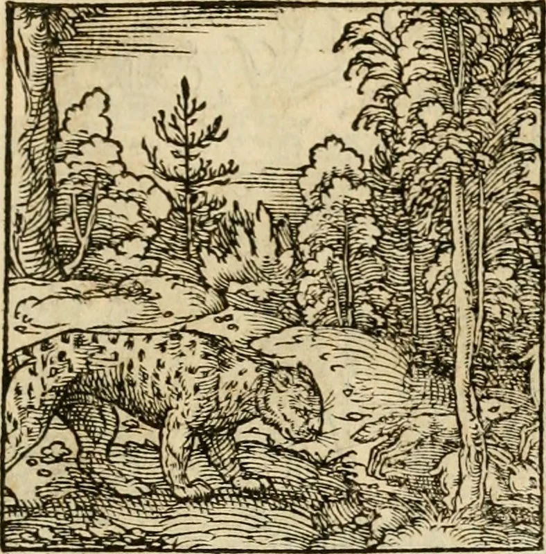 An illustration from Horou Apollonos neiloou Hieroglyphika = Ori Apollinis niliaci, De sacris notis & sculpturis libri duo, 1551, leaf 210