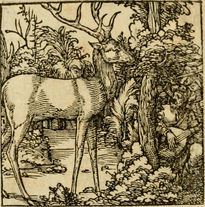 An illustration from Horou Apollonos neiloou Hieroglyphika = Ori Apollinis niliaci, De sacris notis & sculpturis libri duo, 1551, leaf 211