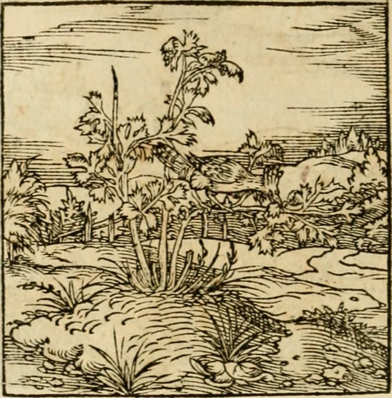 An illustration from Horou Apollonos neiloou Hieroglyphika = Ori Apollinis niliaci, De sacris notis & sculpturis libri duo, 1551, leaf 213