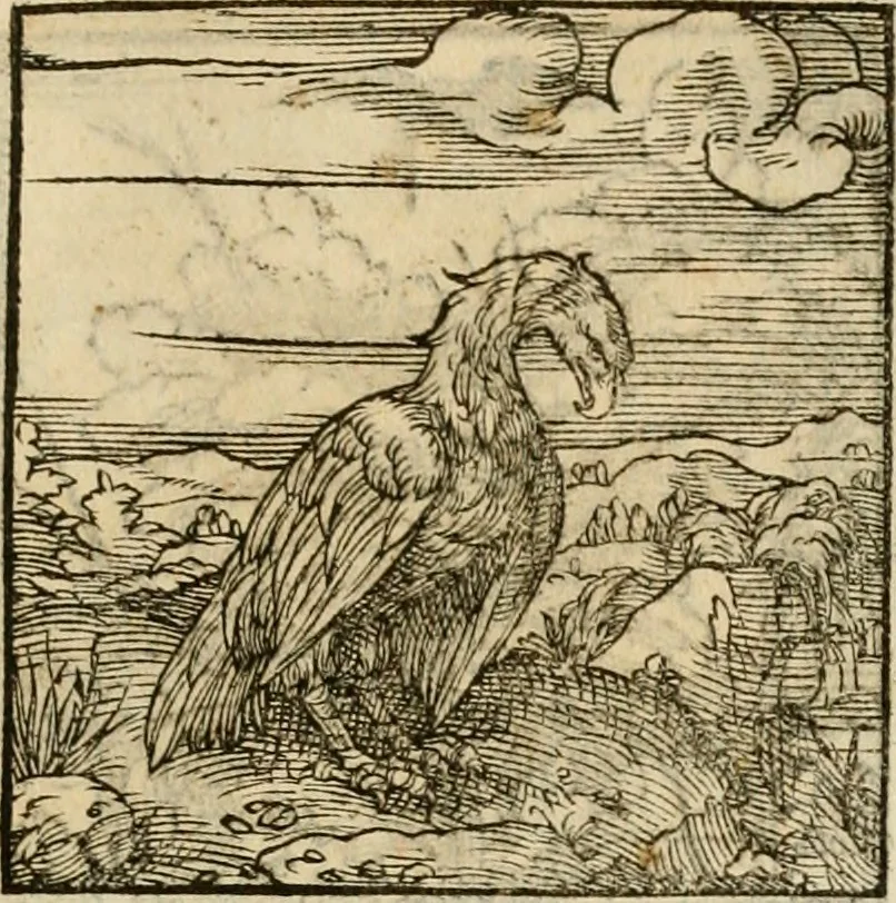 An illustration from Horou Apollonos neiloou Hieroglyphika = Ori Apollinis niliaci, De sacris notis & sculpturis libri duo, 1551, leaf 216