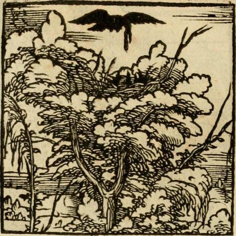 An illustration from Horou Apollonos neiloou Hieroglyphika = Ori Apollinis niliaci, De sacris notis & sculpturis libri duo, 1551, leaf 217