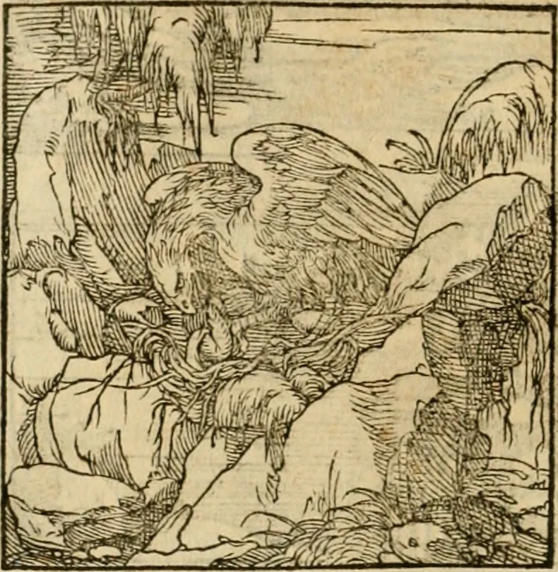 An illustration from Horou Apollonos neiloou Hieroglyphika = Ori Apollinis niliaci, De sacris notis & sculpturis libri duo, 1551, leaf 219