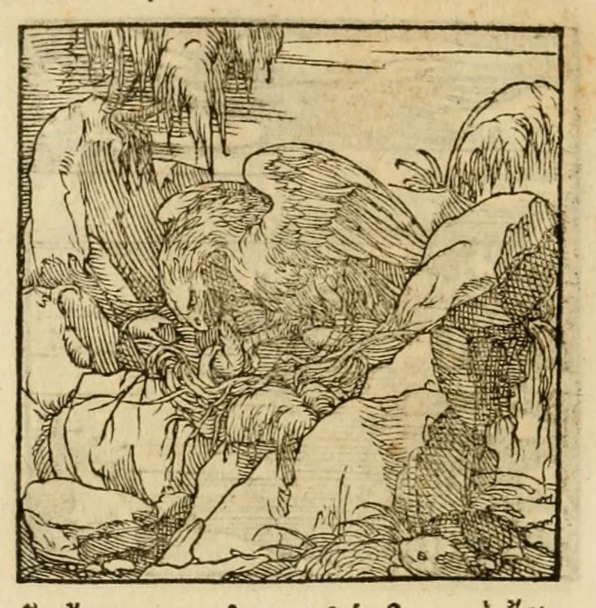 An illustration from Horou Apollonos neiloou Hieroglyphika = Ori Apollinis niliaci, De sacris notis & sculpturis libri duo, 1551, leaf 220