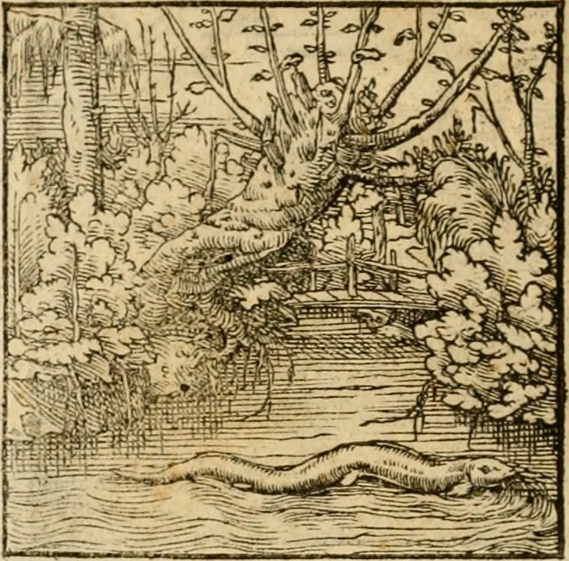 An illustration from Horou Apollonos neiloou Hieroglyphika = Ori Apollinis niliaci, De sacris notis & sculpturis libri duo, 1551, leaf 223