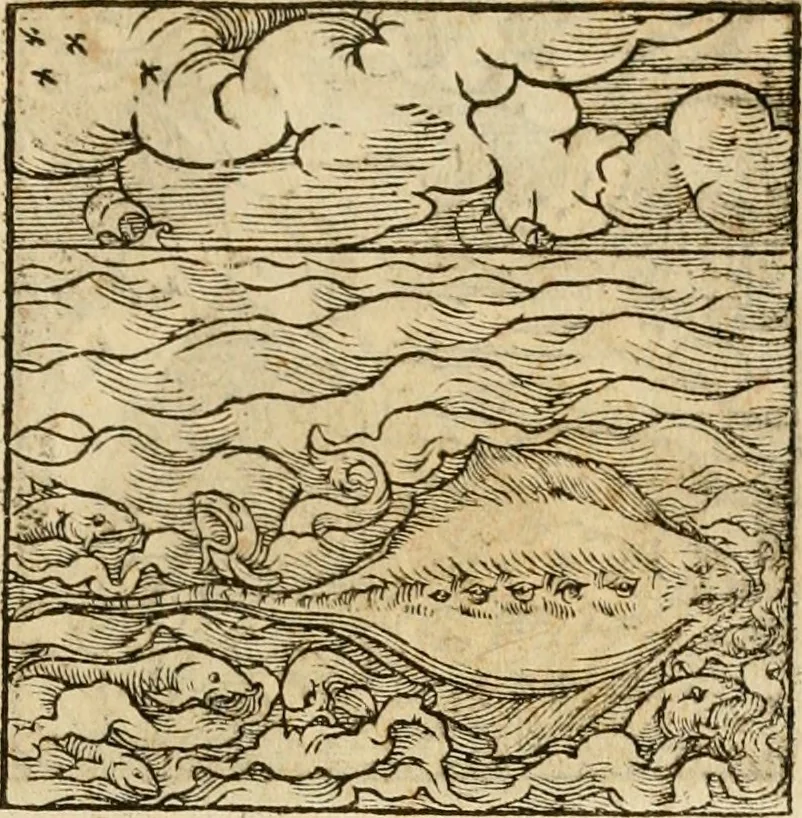 An illustration from Horou Apollonos neiloou Hieroglyphika = Ori Apollinis niliaci, De sacris notis & sculpturis libri duo, 1551, leaf 224