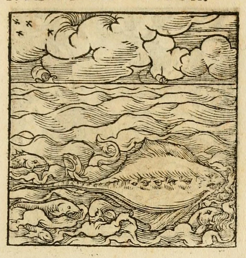 An illustration from Horou Apollonos neiloou Hieroglyphika = Ori Apollinis niliaci, De sacris notis & sculpturis libri duo, 1551, leaf 225