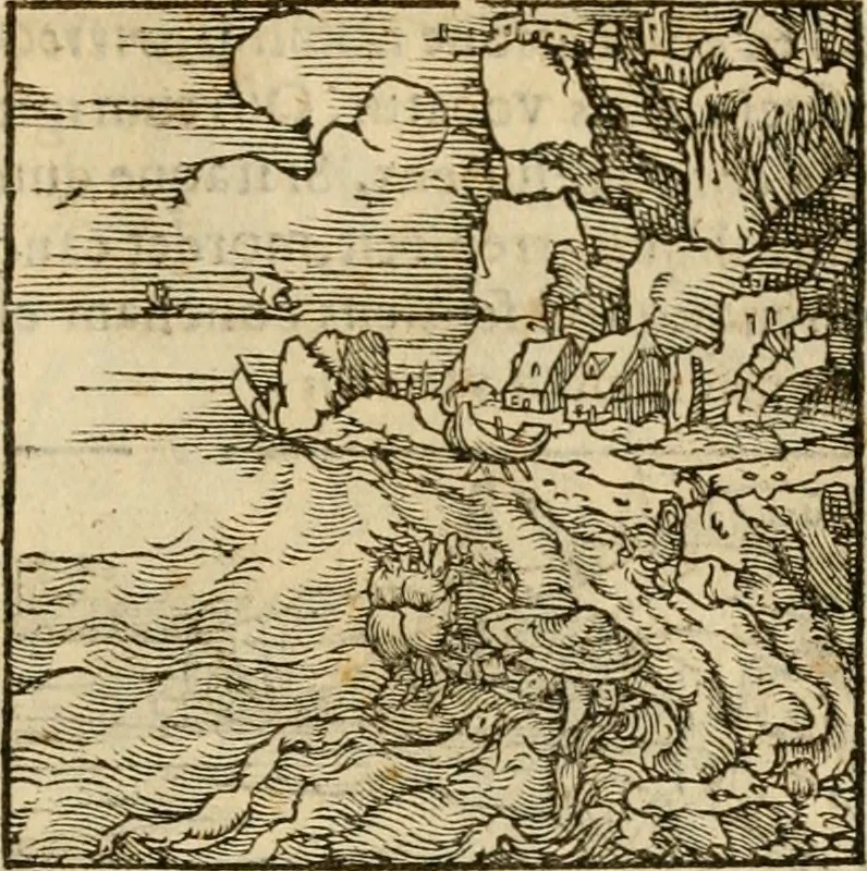 An illustration from Horou Apollonos neiloou Hieroglyphika = Ori Apollinis niliaci, De sacris notis & sculpturis libri duo, 1551, leaf 228