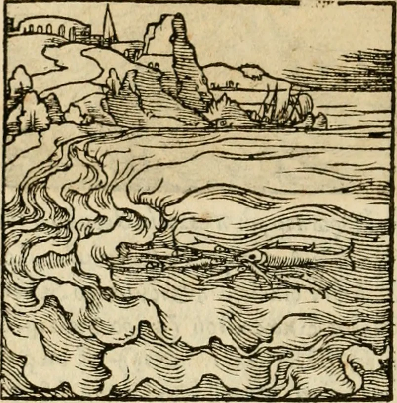 An illustration from Horou Apollonos neiloou Hieroglyphika = Ori Apollinis niliaci, De sacris notis & sculpturis libri duo, 1551, leaf 229