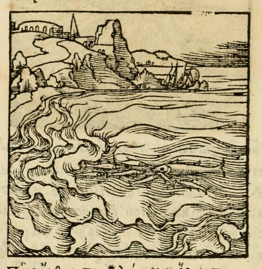 An illustration from Horou Apollonos neiloou Hieroglyphika = Ori Apollinis niliaci, De sacris notis & sculpturis libri duo, 1551, leaf 230