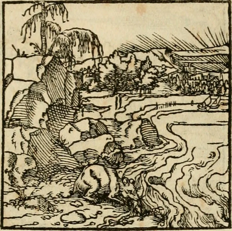 An illustration from Horou Apollonos neiloou Hieroglyphika = Ori Apollinis niliaci, De sacris notis & sculpturis libri duo, 1551, leaf 230