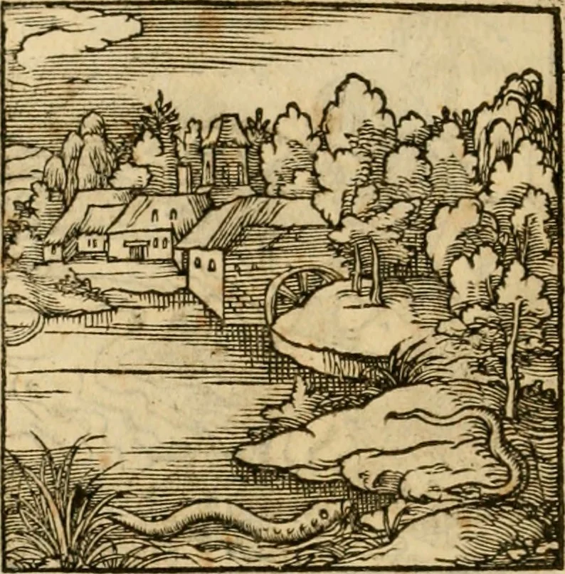 An illustration from Horou Apollonos neiloou Hieroglyphika = Ori Apollinis niliaci, De sacris notis & sculpturis libri duo, 1551, leaf 231