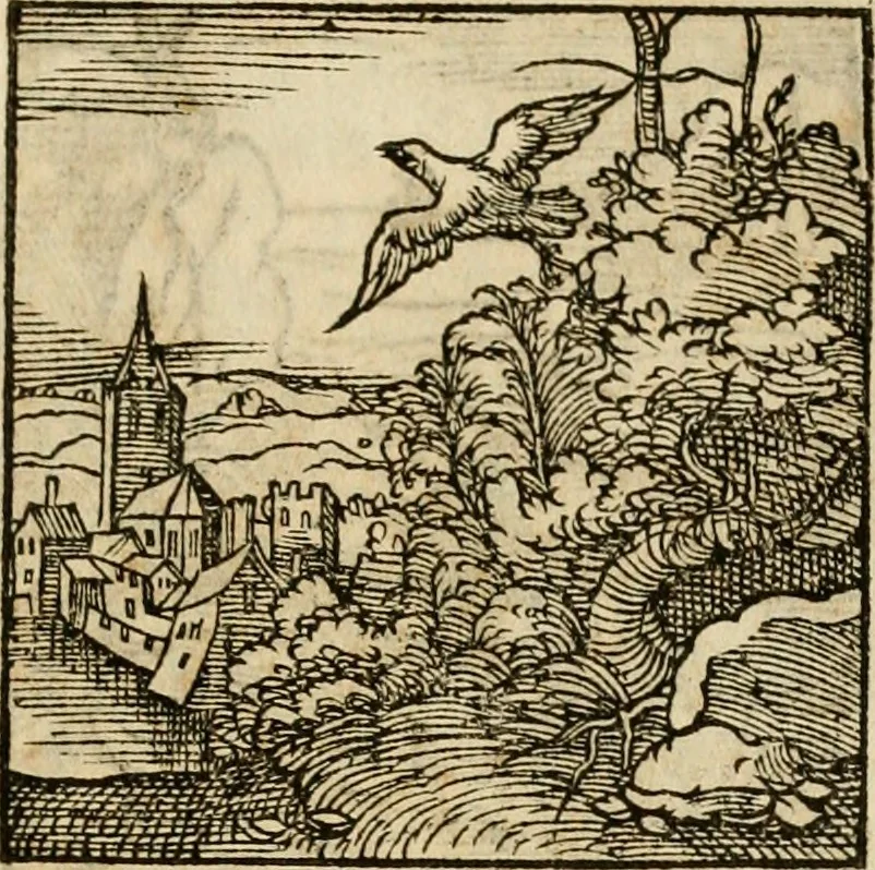 An illustration from Horou Apollonos neiloou Hieroglyphika = Ori Apollinis niliaci, De sacris notis & sculpturis libri duo, 1551, leaf 232