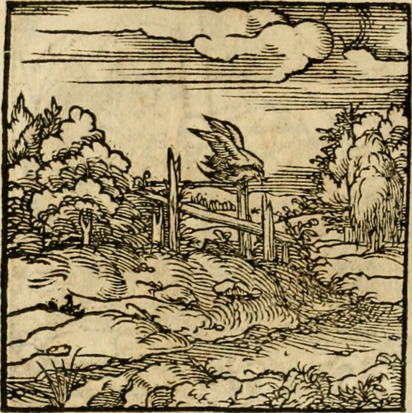 An illustration from Horou Apollonos neiloou Hieroglyphika = Ori Apollinis niliaci, De sacris notis & sculpturis libri duo, 1551, leaf 235