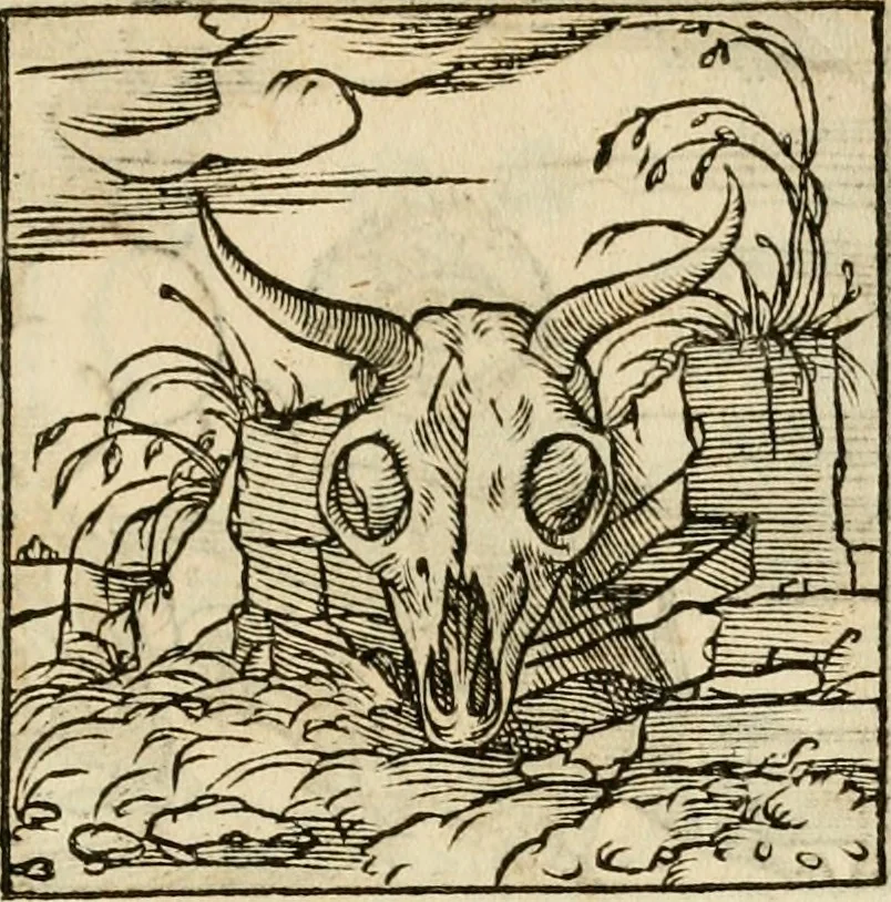 An illustration from Horou Apollonos neiloou Hieroglyphika = Ori Apollinis niliaci, De sacris notis & sculpturis libri duo, 1551, leaf 244