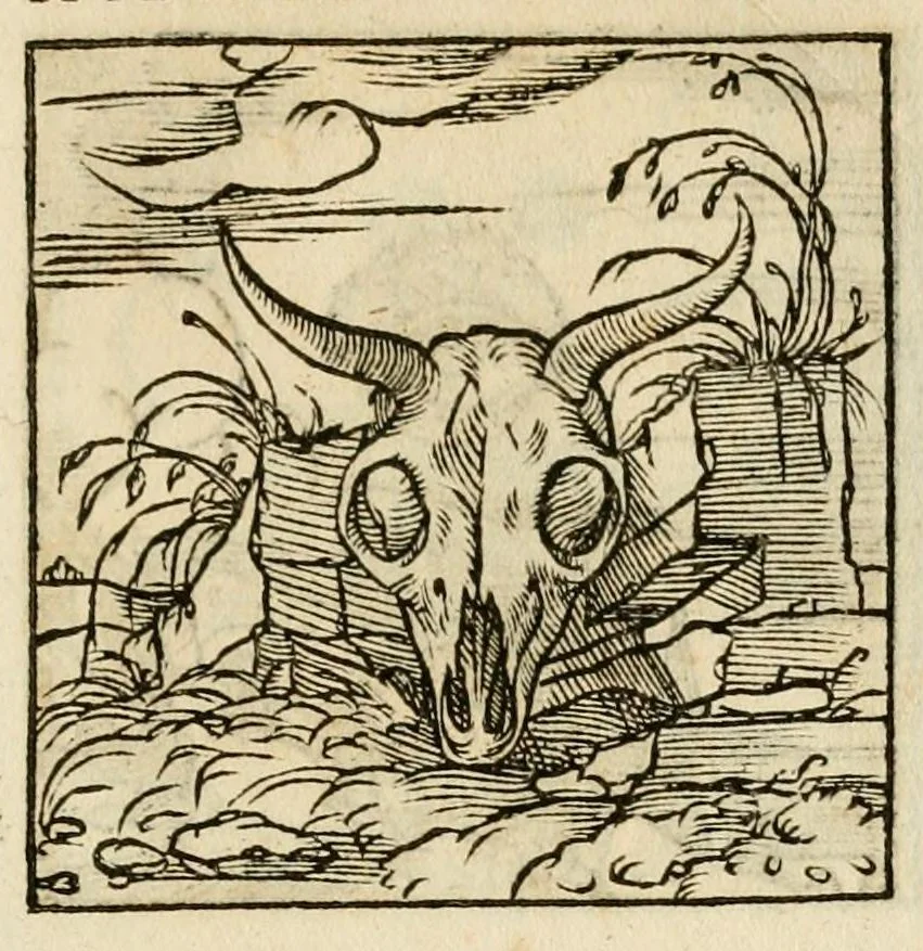 An illustration from Horou Apollonos neiloou Hieroglyphika = Ori Apollinis niliaci, De sacris notis & sculpturis libri duo, 1551, leaf 245