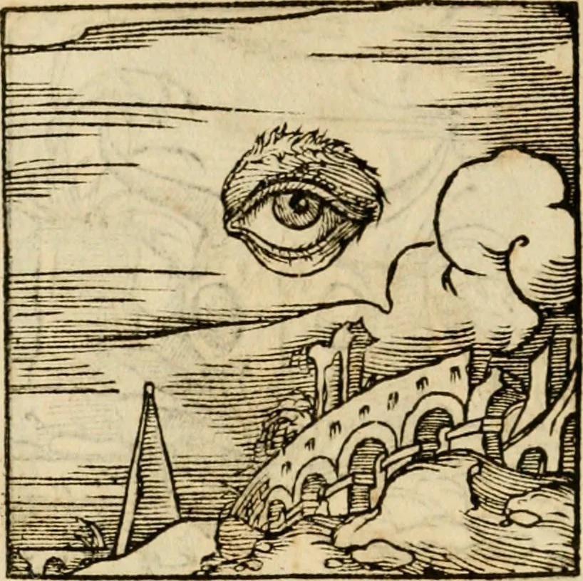 An illustration from Horou Apollonos neiloou Hieroglyphika = Ori Apollinis niliaci, De sacris notis & sculpturis libri duo, 1551, leaf 245