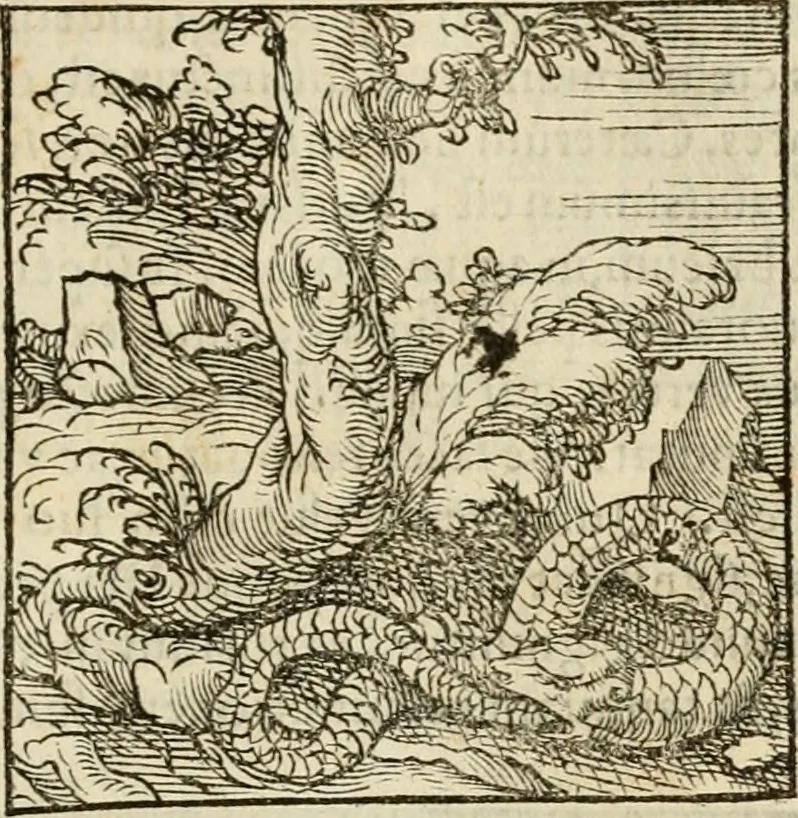 An illustration from Horou Apollonos neiloou Hieroglyphika = Ori Apollinis niliaci, De sacris notis & sculpturis libri duo, 1551, leaf 26