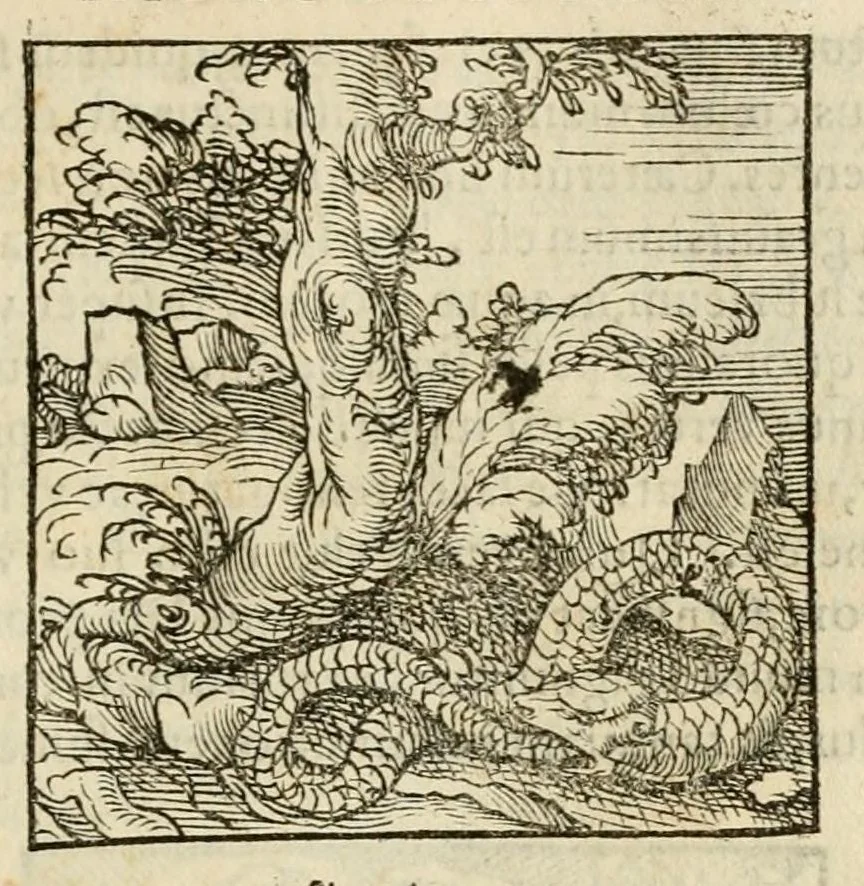 An illustration from Horou Apollonos neiloou Hieroglyphika = Ori Apollinis niliaci, De sacris notis & sculpturis libri duo, 1551, leaf 27
