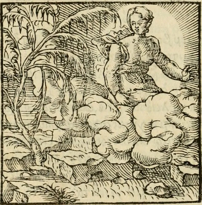 An illustration from Horou Apollonos neiloou Hieroglyphika = Ori Apollinis niliaci, De sacris notis & sculpturis libri duo, 1551, leaf 27