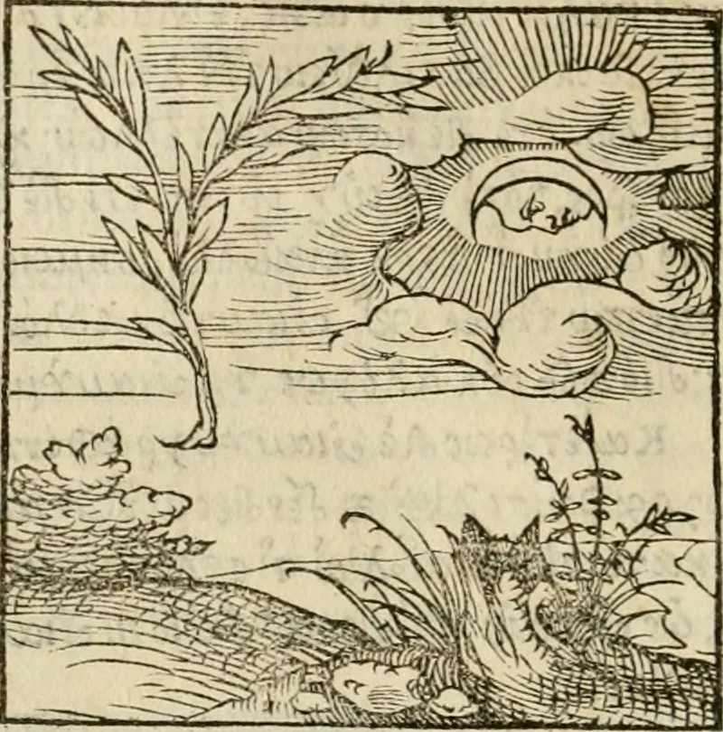 An illustration from Horou Apollonos neiloou Hieroglyphika = Ori Apollinis niliaci, De sacris notis & sculpturis libri duo, 1551, leaf 29