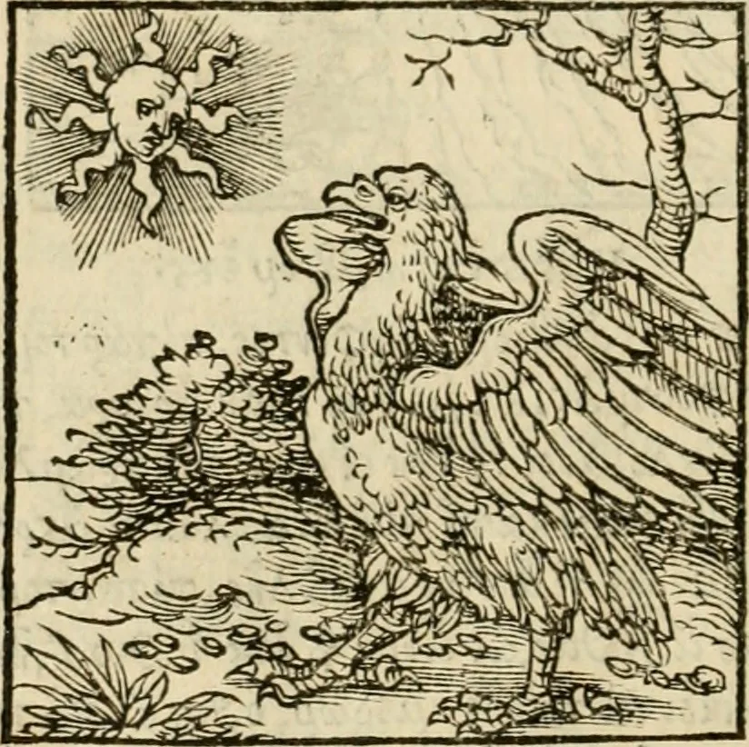 An illustration from Horou Apollonos neiloou Hieroglyphika = Ori Apollinis niliaci, De sacris notis & sculpturis libri duo, 1551, leaf 31