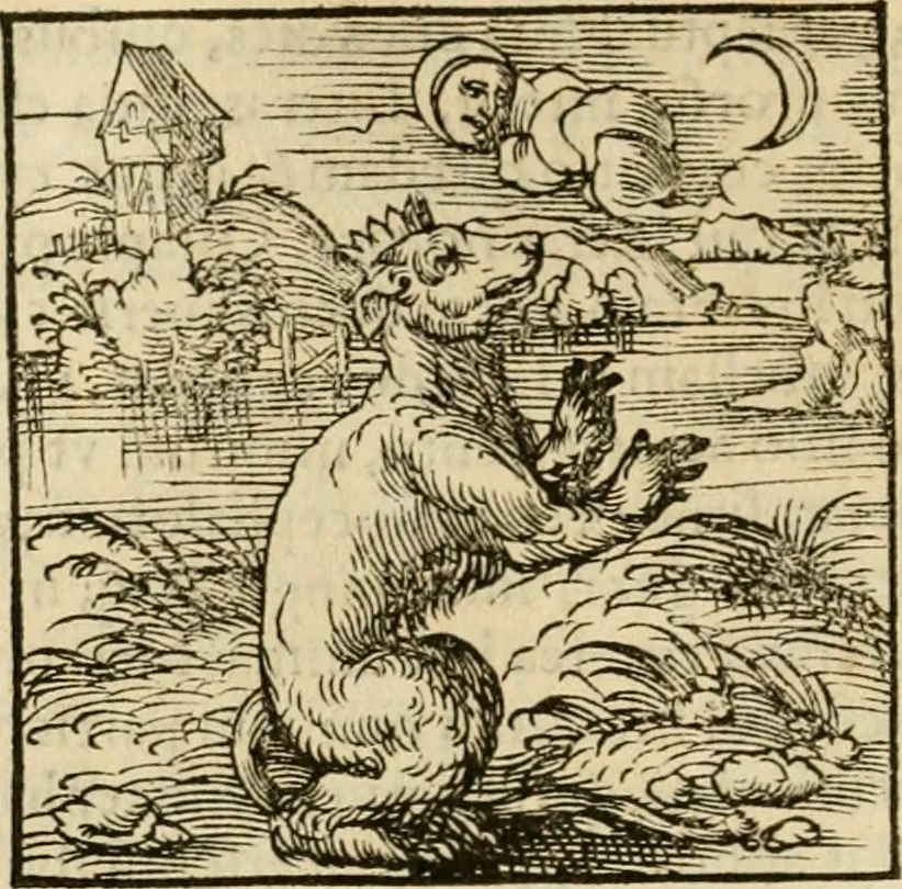 An illustration from Horou Apollonos neiloou Hieroglyphika = Ori Apollinis niliaci, De sacris notis & sculpturis libri duo, 1551, leaf 53