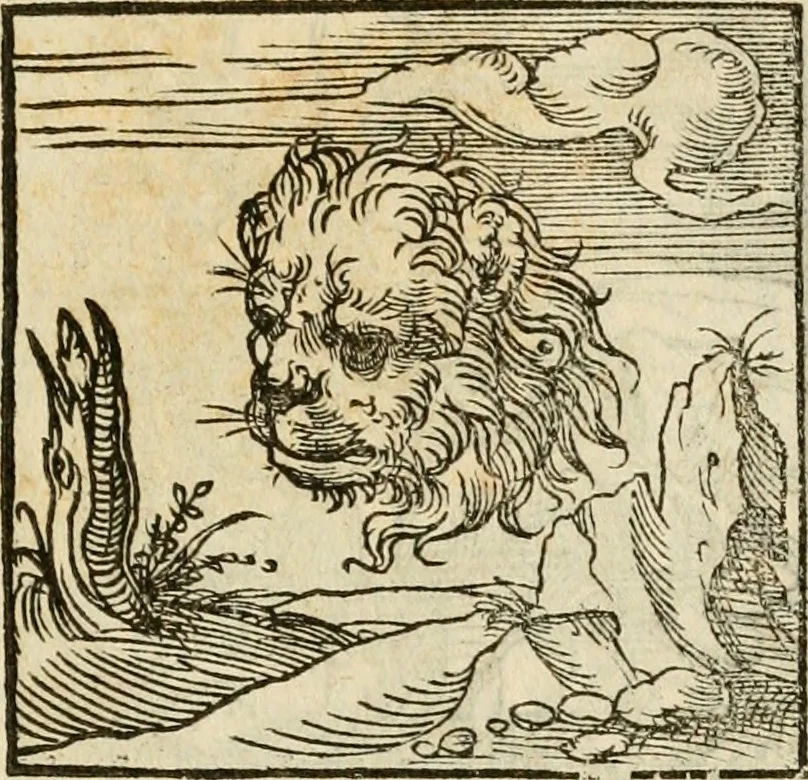 An illustration from Horou Apollonos neiloou Hieroglyphika = Ori Apollinis niliaci, De sacris notis & sculpturis libri duo, 1551, leaf 58