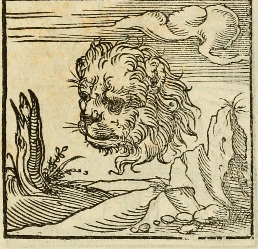 An illustration from Horou Apollonos neiloou Hieroglyphika = Ori Apollinis niliaci, De sacris notis & sculpturis libri duo, 1551, leaf 59
