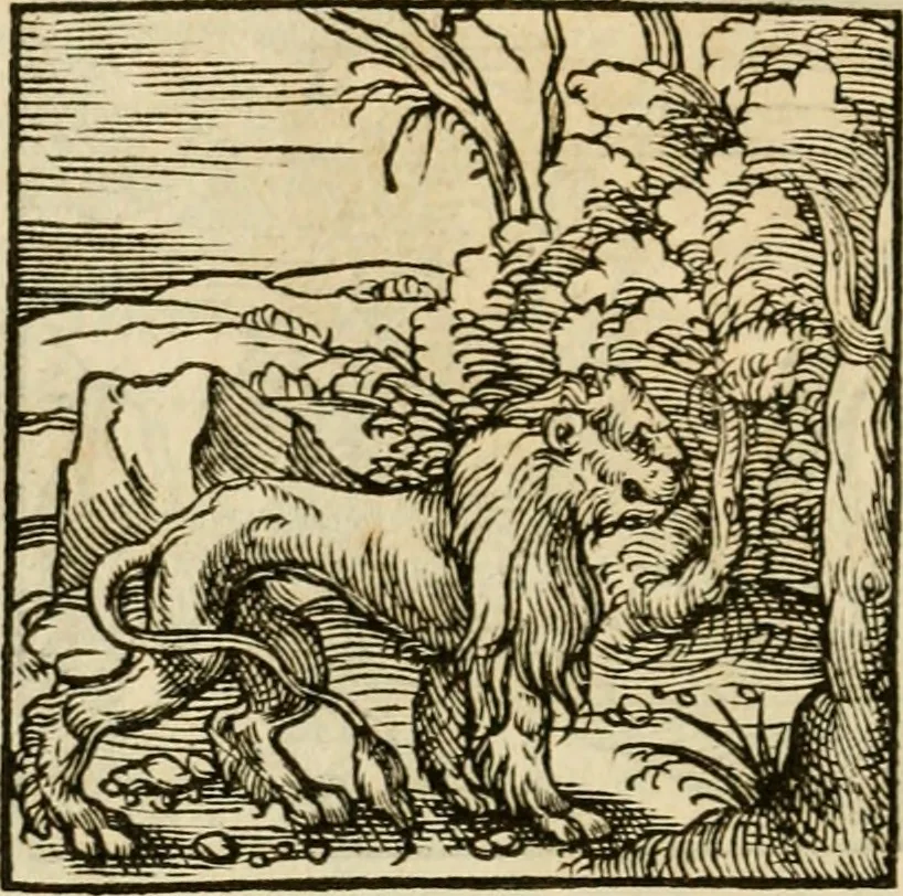 An illustration from Horou Apollonos neiloou Hieroglyphika = Ori Apollinis niliaci, De sacris notis & sculpturis libri duo, 1551, leaf 59